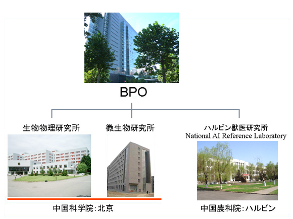 Beijing Project Office