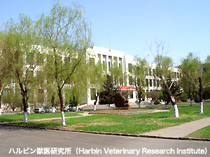 National Avian Influenza Reference Laboratory