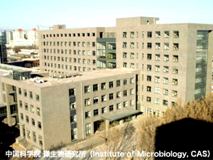 Institute of Microbiology, CAS