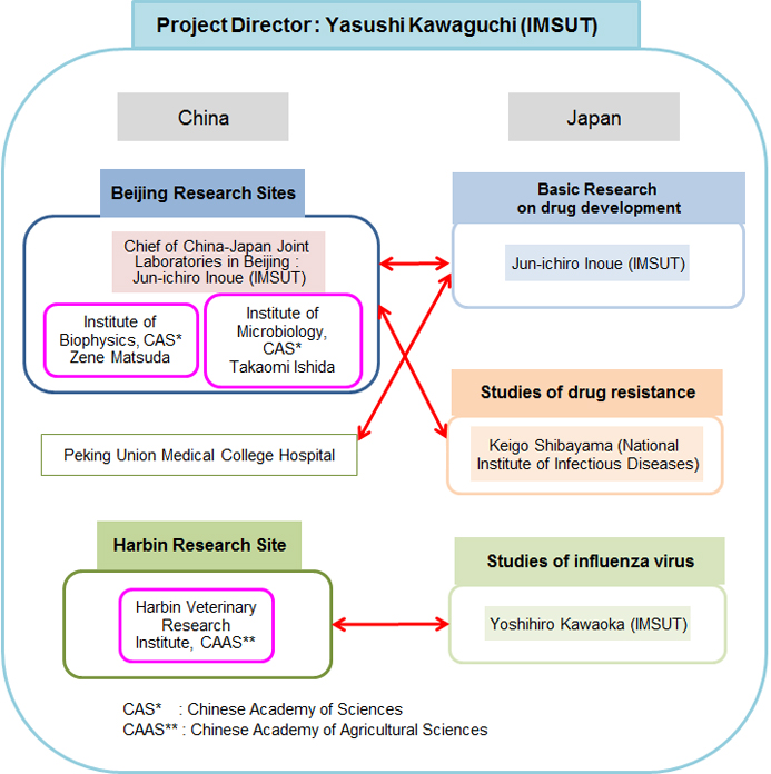 Organization Chart